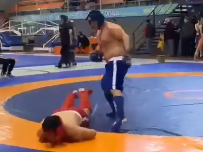 ММА чемпионаты