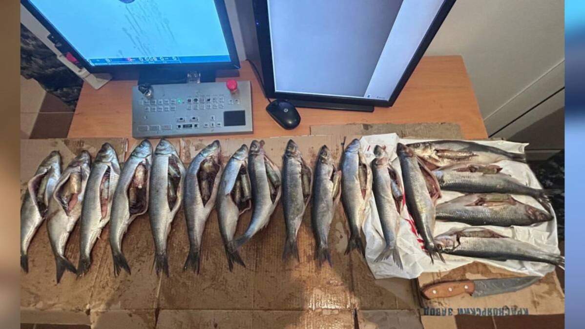 Полиция