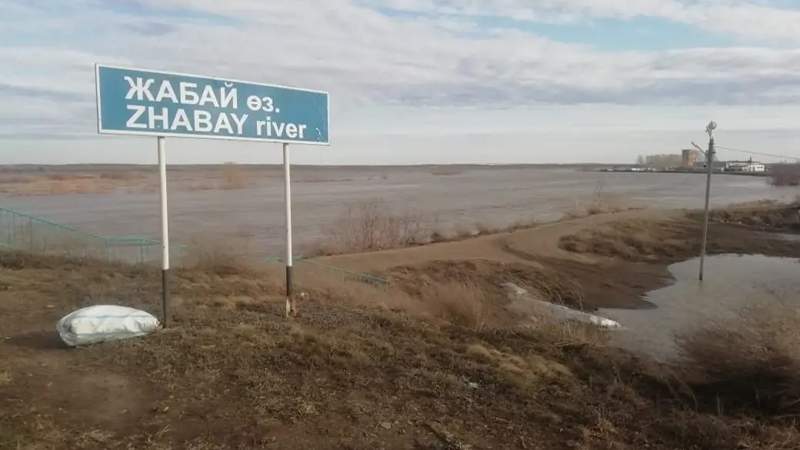 Жабай