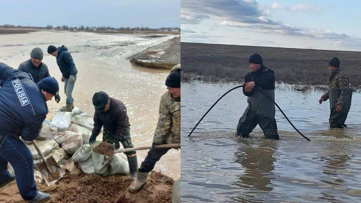 Полиция