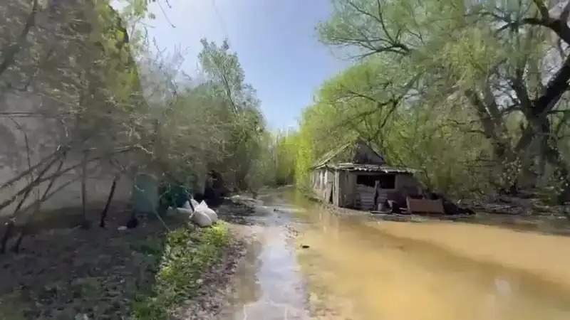 су