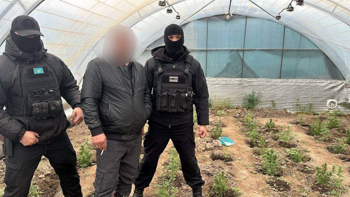 Полиция