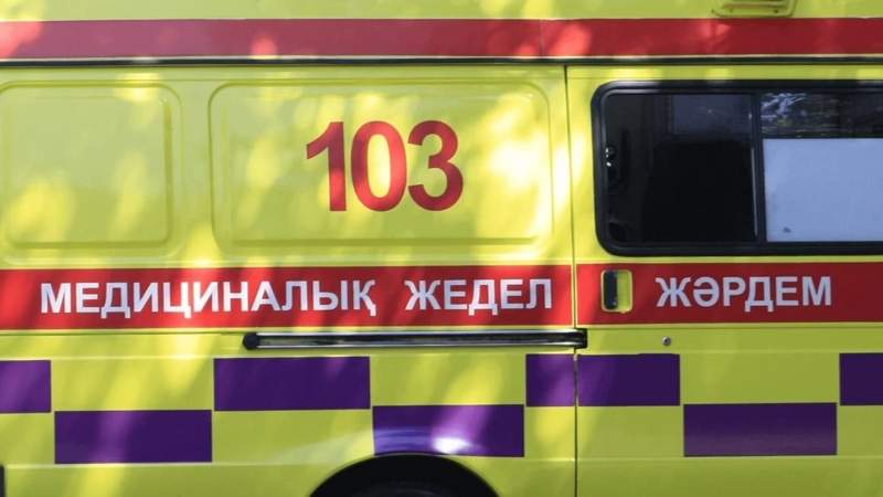 жәрдем