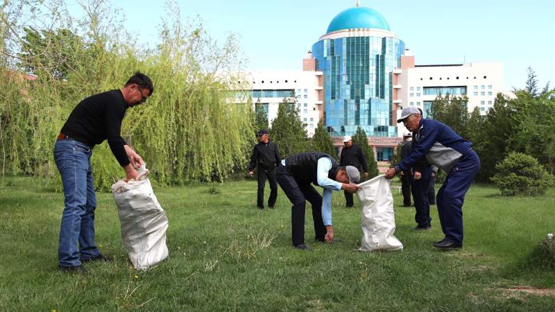 Универсиетет