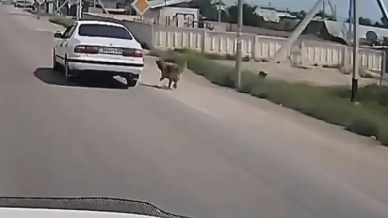 Қонаев қаласы 