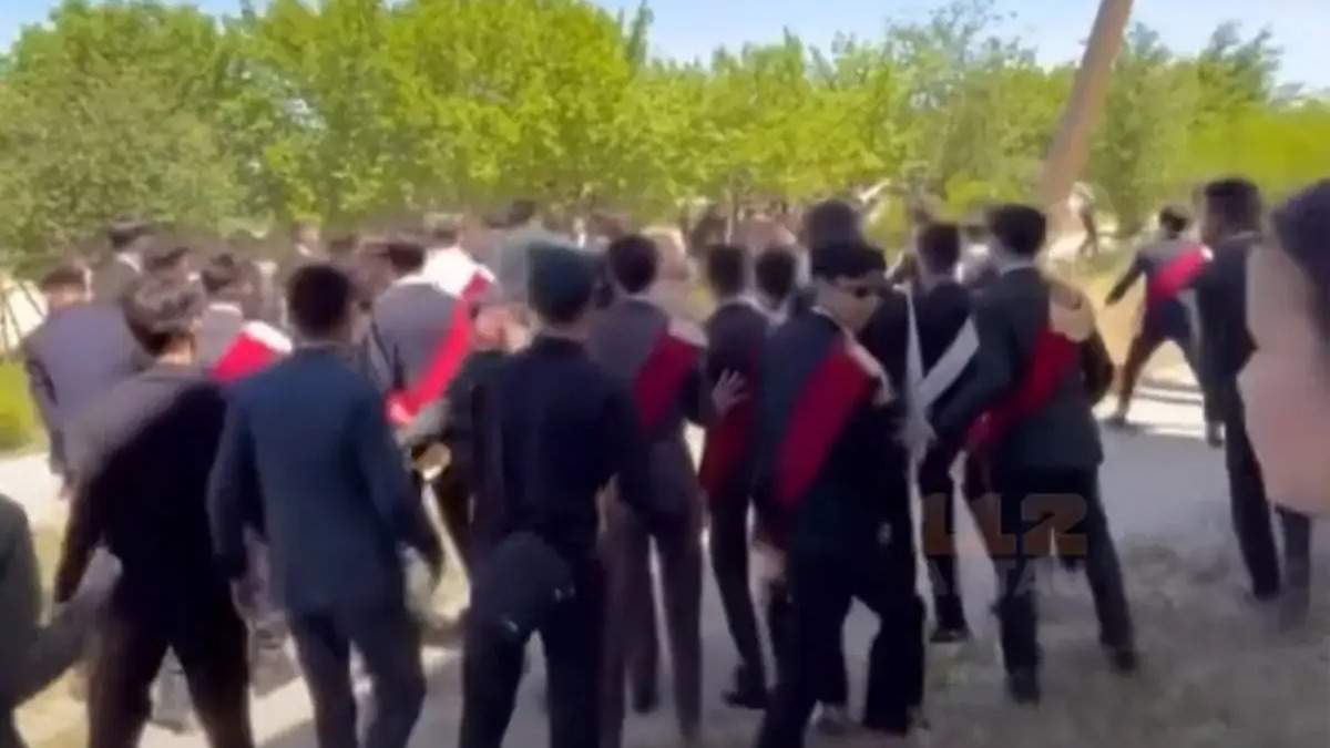 тоюелс