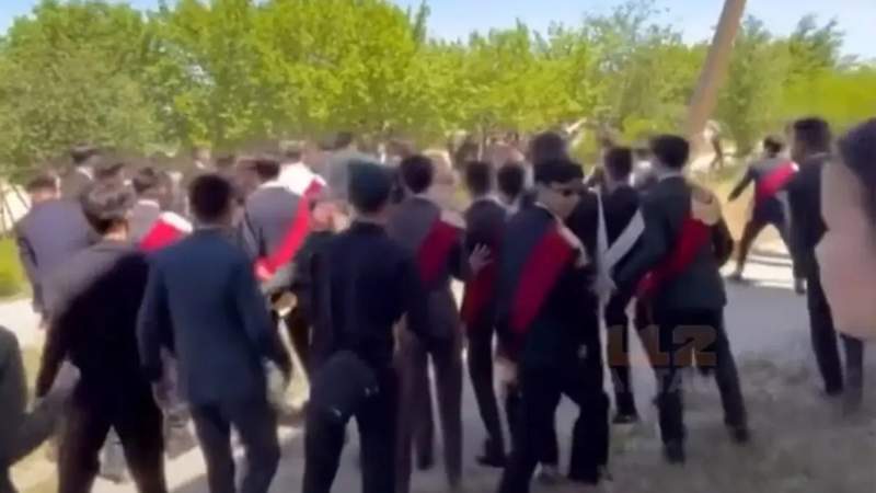 тоюелс