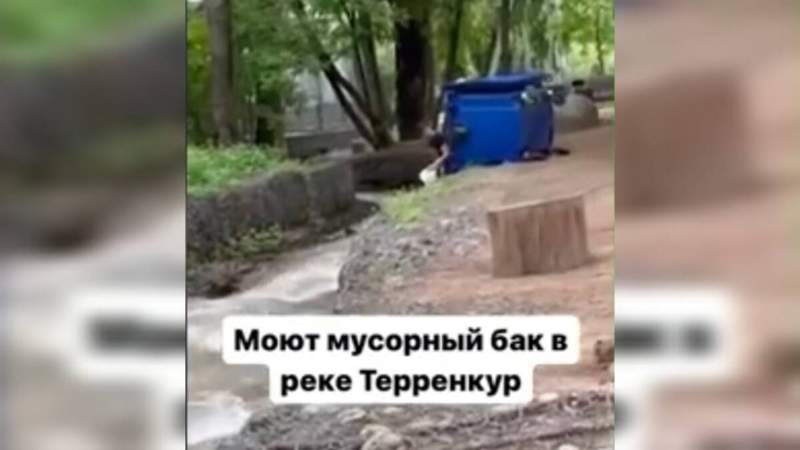 Полиция