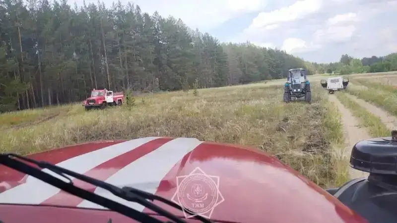 "Семей орманы" табиғи резерваты аумағындағы өртке түрткі тракторшы жазаланды