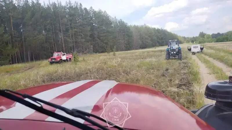 "Семей орманы" табиғи резерваты аумағындағы өртке түрткі тракторшы жазаланды