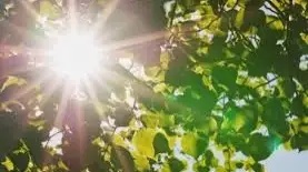 Қазгидромет 