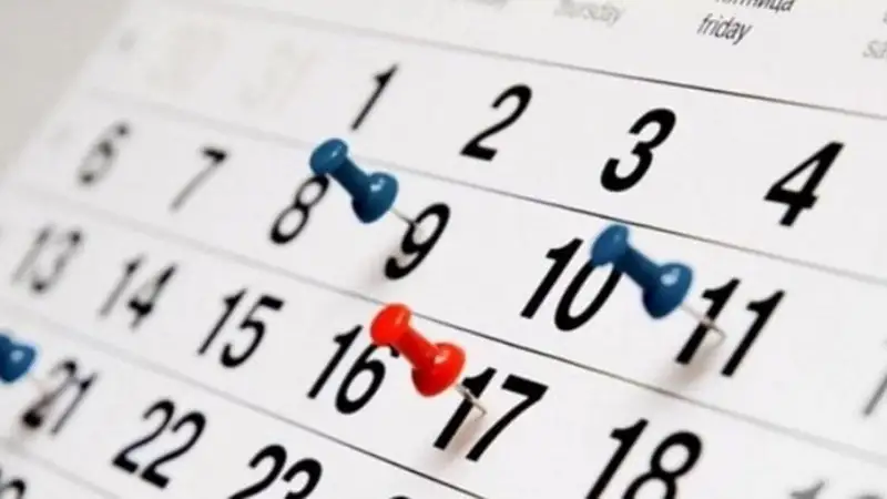 демалыс күндері 