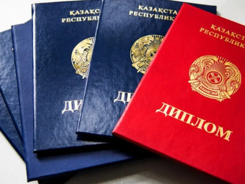 Жоғары оқу орны 