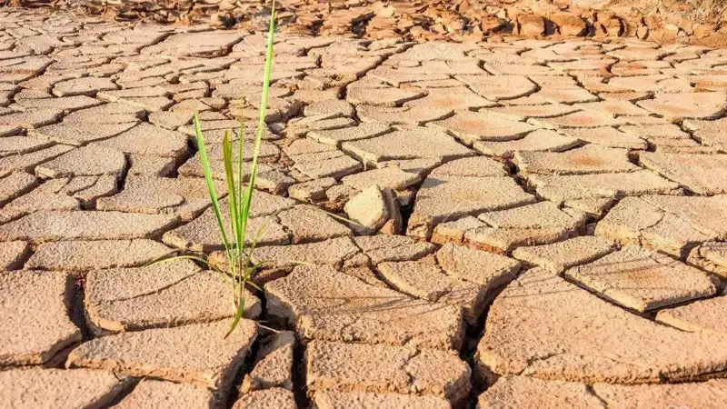 Құрғақшылық