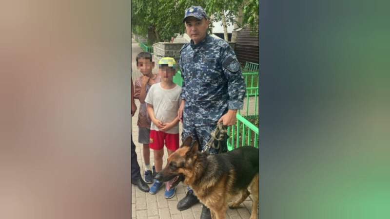 Полиция