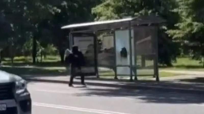 аялдама