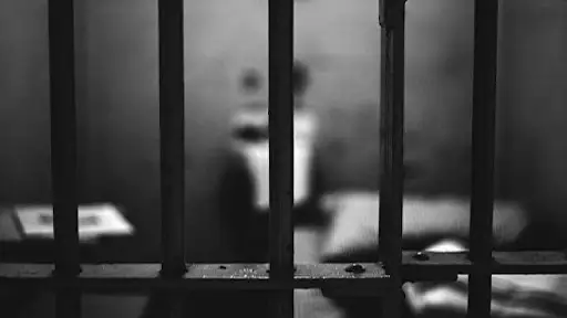 сотталушылар