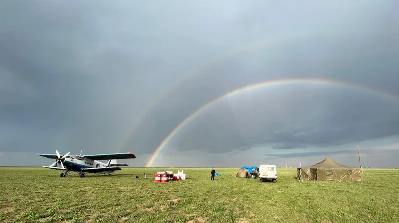 Шегірткемен күрес