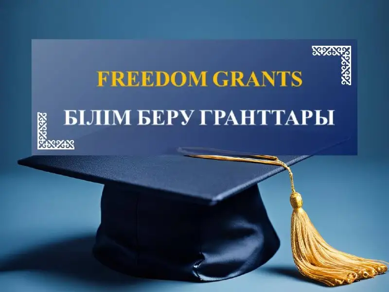 Фридомнан грант