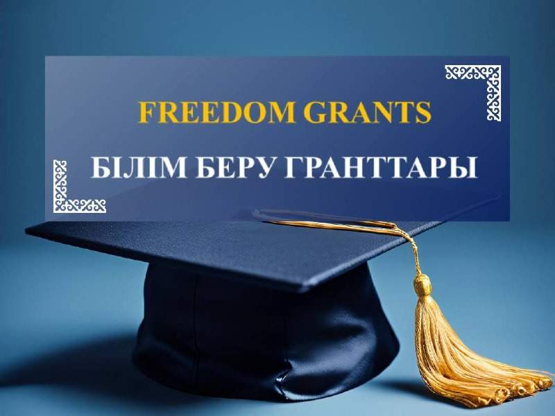 Фридомнан грант
