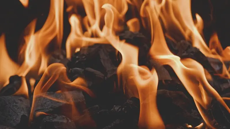 Көмір, отын