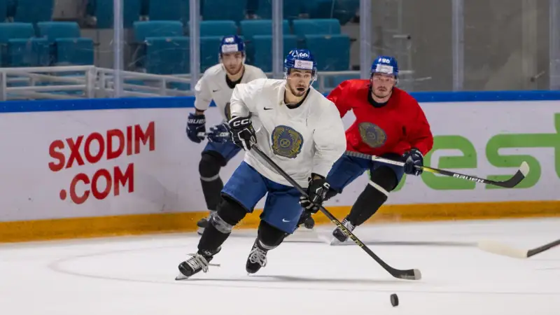 Шайбалы хоккей