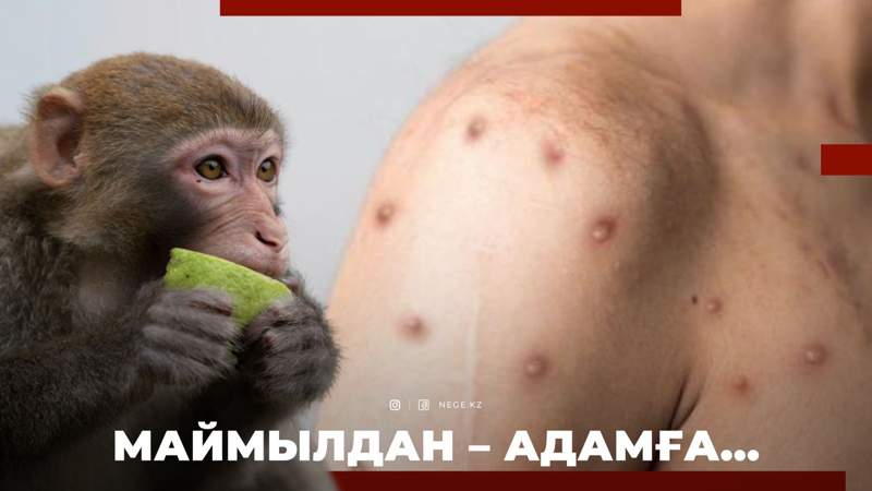 Вирус