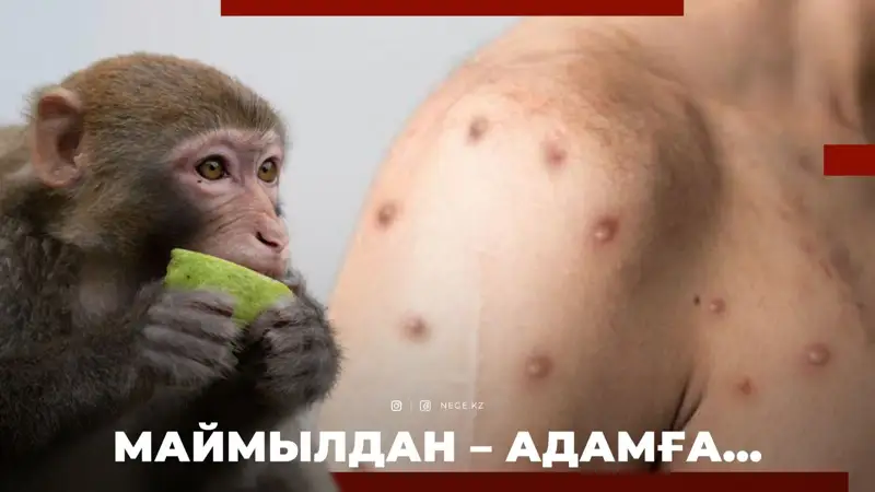 Үлкен есектері бар мулат әйелдерінің суреттері Нағыз үлкен әтеш порно