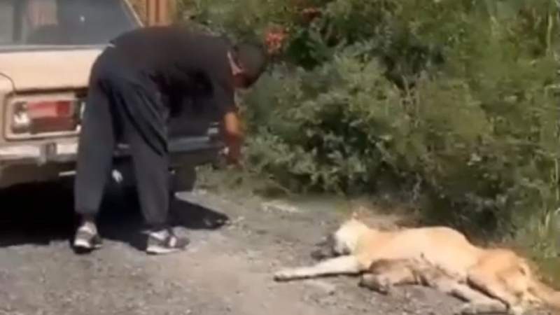 Полиция