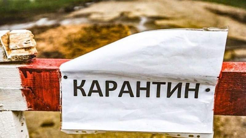 Карантин