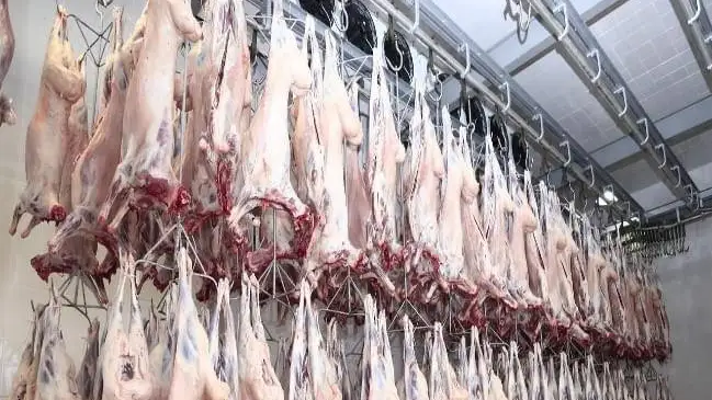 Түркістан облысы