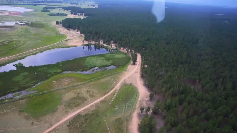 Ертіс орманы