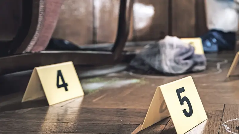 Қылмыс орны