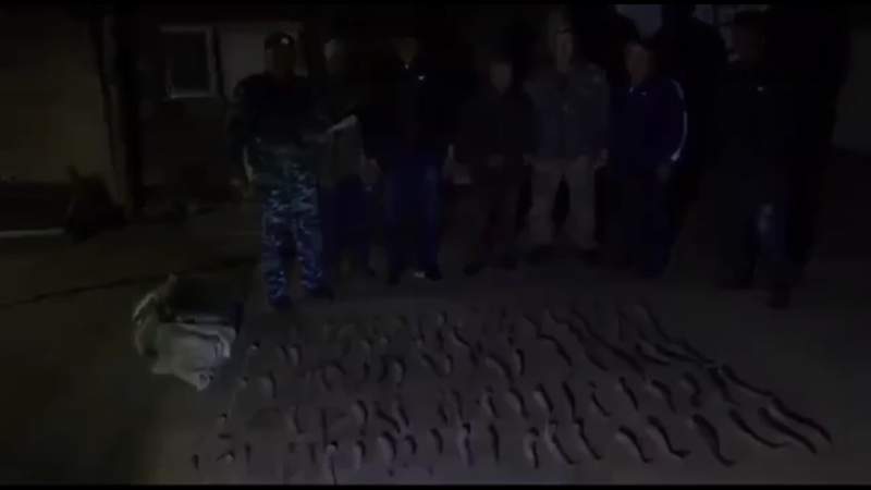 Полиция