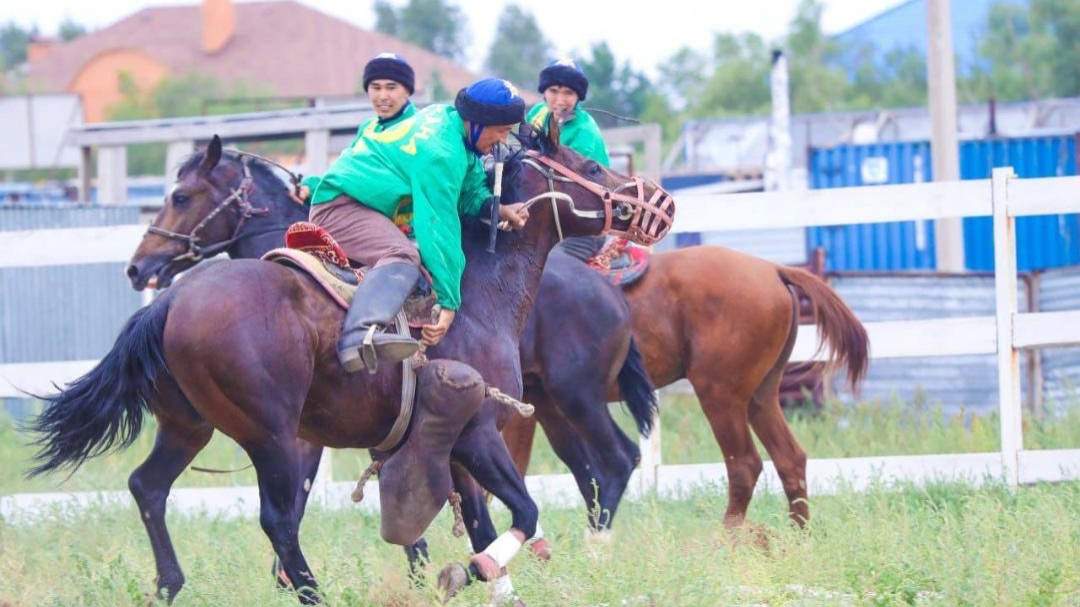 Ат спорты 