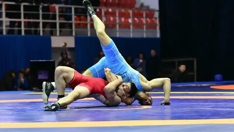 Күрес түрлері