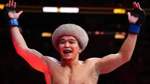 Аралас жекпе-жек 