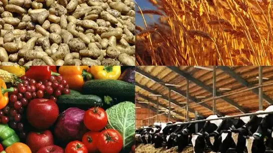 Кеген ауданы 