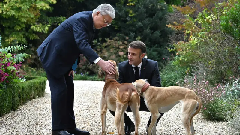 Елисей бағы