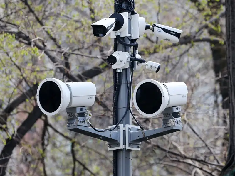 Сергек, бейнебақылау