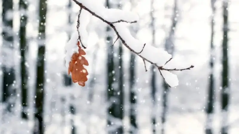 Қазақстандағы ауа райы 