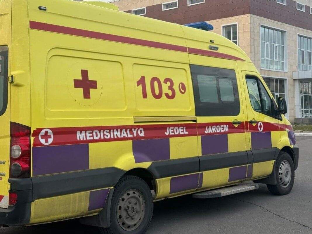жәрдем