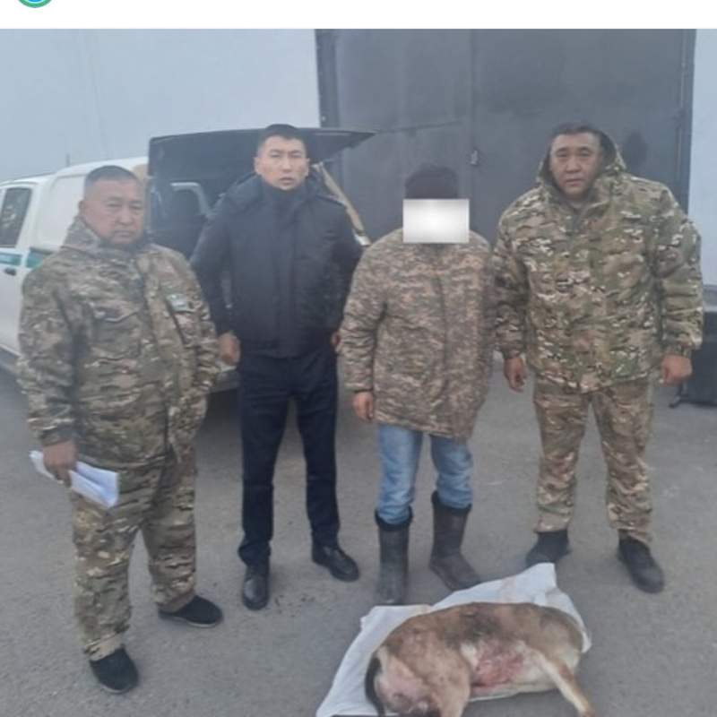 Полиция