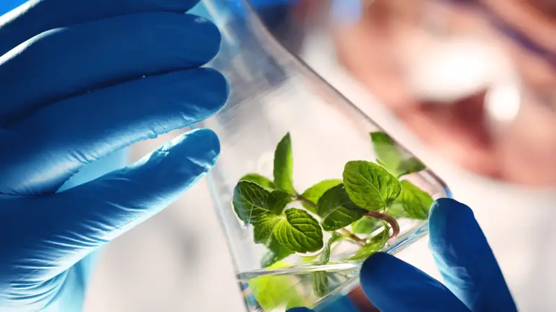 биоэкология ғылым