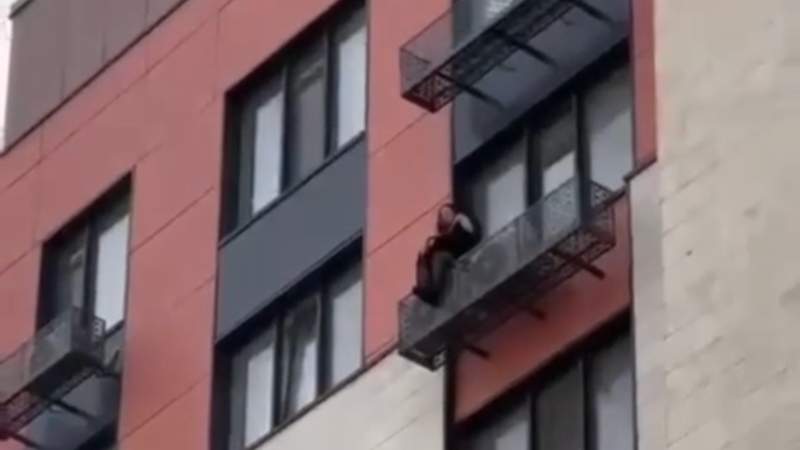 Полиция