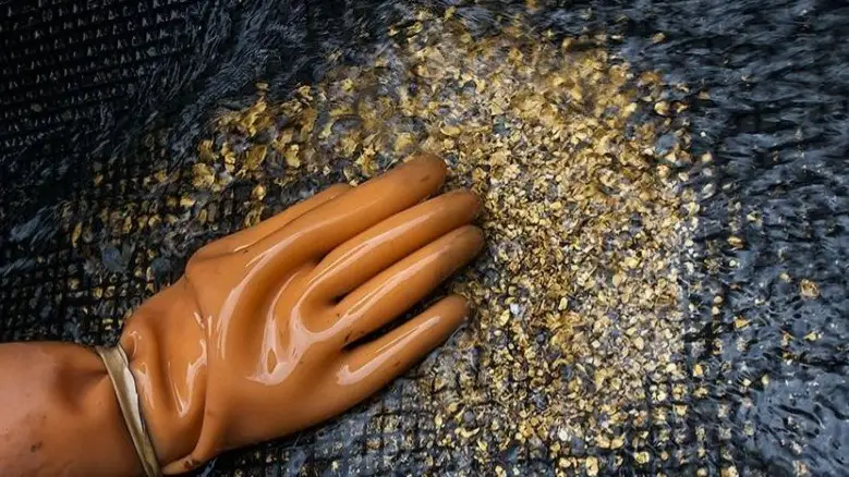 Алтын өндірісі