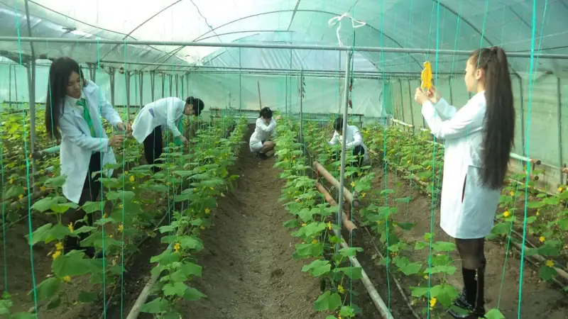 Түркістан облысы