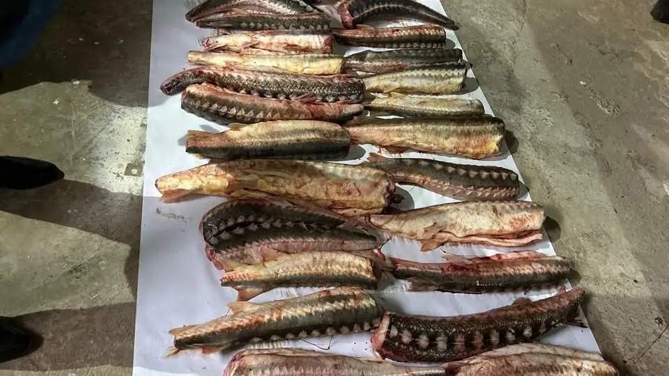 Полиция