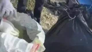 Полиция
