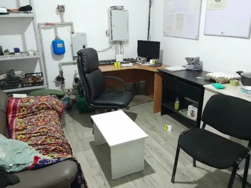 Алина Серікова